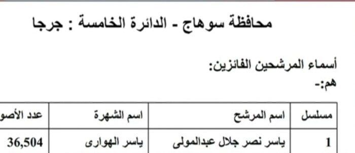 ننشر النتائج الكاملة لجولة الإعادة في 19 دائرة ملغاة بانتخابات النواب 2025 - الفجر سبورت