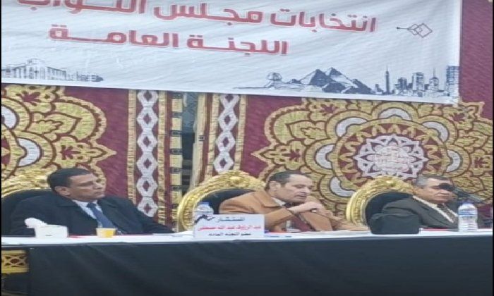 الحصر العددي.. تقدم بلتاجي ومرشد في دائرة كوم حمادة بالبحيرة