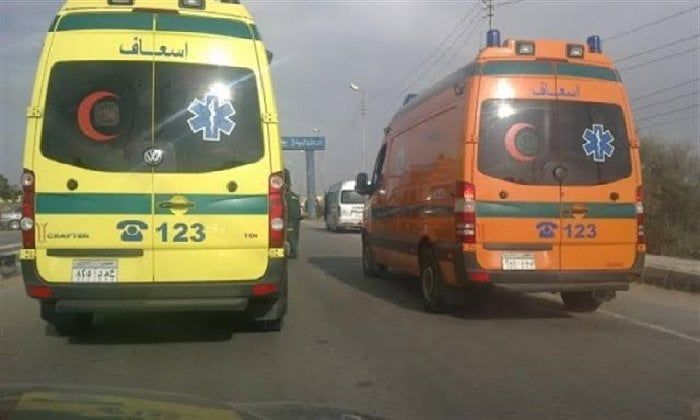 بالأسماء.. 22مُصابًا في حادث انقلاب سيارة عمالة زراعية على طريق وادي النطرون بالبحيرة