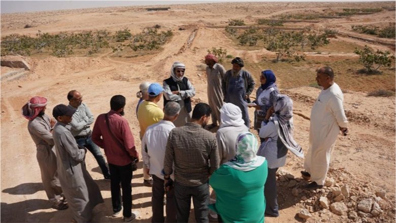 "الزراعة" تتابع نتائج مشروع «برايد» للتنمية الزراعية بمطروح