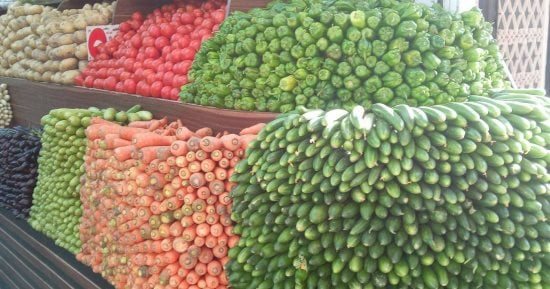 استقرار في أسعار الخضراوات الطازجة بالأقصر اليوم الأحد 18 أكتوبر 2026