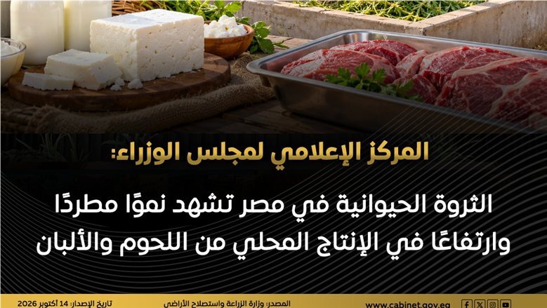 "إعلامي الوزراء": الثروة الحيوانية تشهد نموًا مطردًا وارتفاعًا في الإنتاج المحلي من اللحوم والألبان
