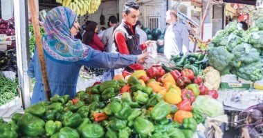 الطماطم بـ15 جنيها.. أسعار الخضراوات والفاكهة فى أسواق أسوان اليوم