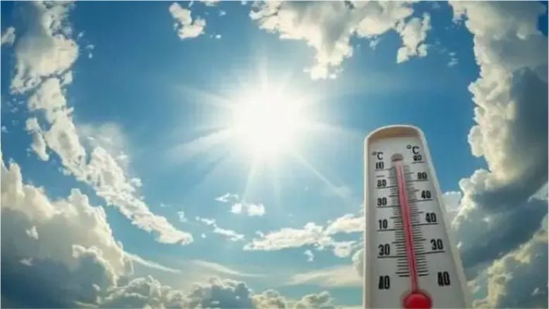 طقس الخميس.. "الأرصاد" تحذر من الأمطار والشبورة والرياح غدًا