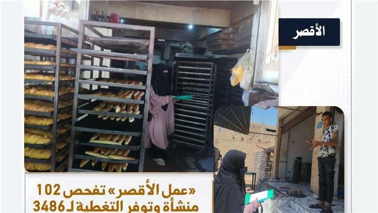 «عمل الأقصر» تفحص 102 منشأة وتوفر التغطية لـ3486 عاملاً خلال أسبوع