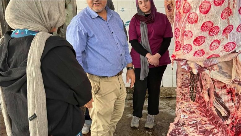 "الخدمات البيطرية": قوافل علاجية بالجيزة لدعم صغار المربين.. والكشف على اللحوم بالمجازر بالقاهرة