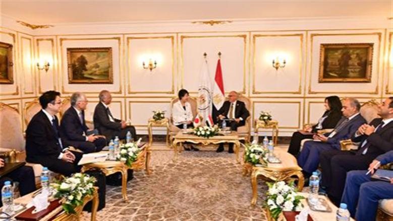 وزير الري: تعزيز التنسيق المصري الياباني في إطار الرئاسة المشتركة لـ «المياه من أجل الكوكب»