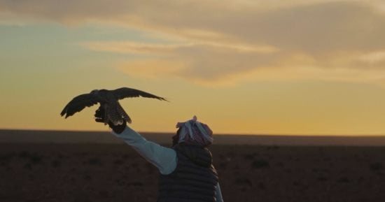 مهرجان الدوحة السينمائى 2026 يحتفى بأربعة أفلام طويلة.. اعرف التفاصيل
