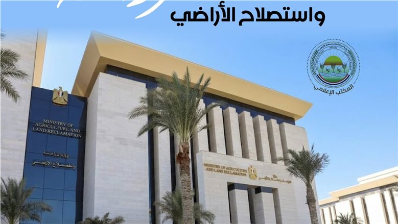 "الزراعة": حصاد 70% من محصول الأرز.. وتوقعات بإنتاج 6 ملايين طن شعير
