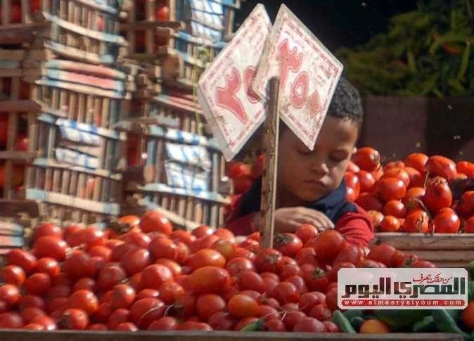 البطاطس بـ25 جنيها.. أسعار الخضروات والفاكهة بأسواق المنيا اليوم