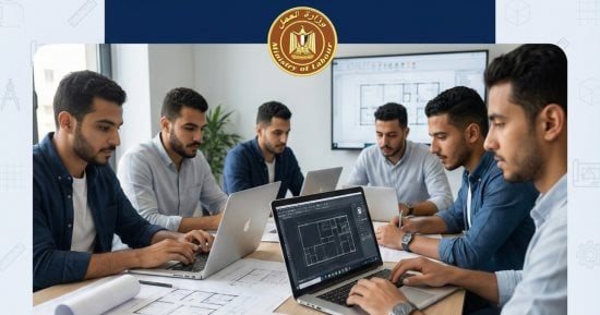 الوادي الجديد تعلن عن فرص عمل جديدة بالقطاع الخاص .. اعرف التفاصيل