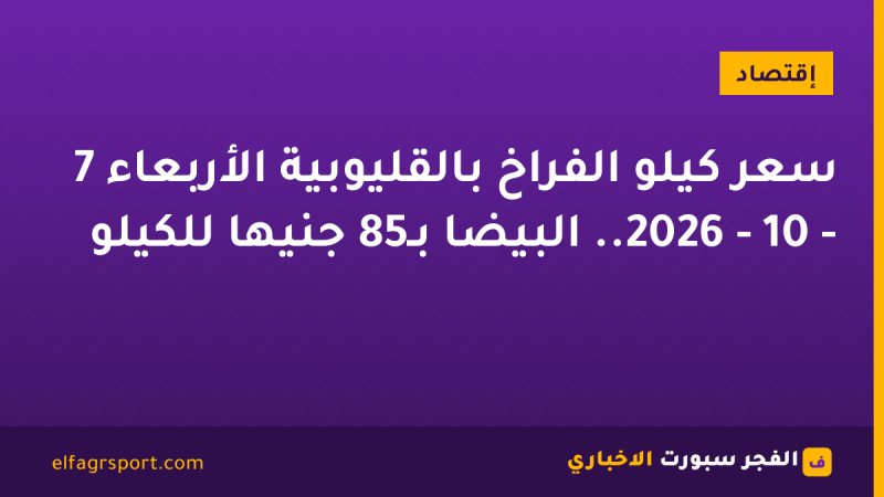 سعر كيلو الفراخ بالقليوبية الأربعاء 7 - 10 - 2026.. البيضا بـ85 جنيها للكيلو