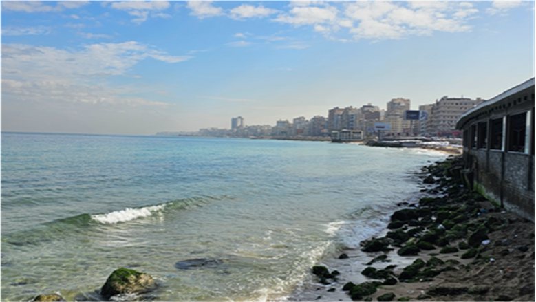أمطار رعدية وسيول محتملة في سيناء والبحر الأحمر.. تفاصيل طقس اليوم