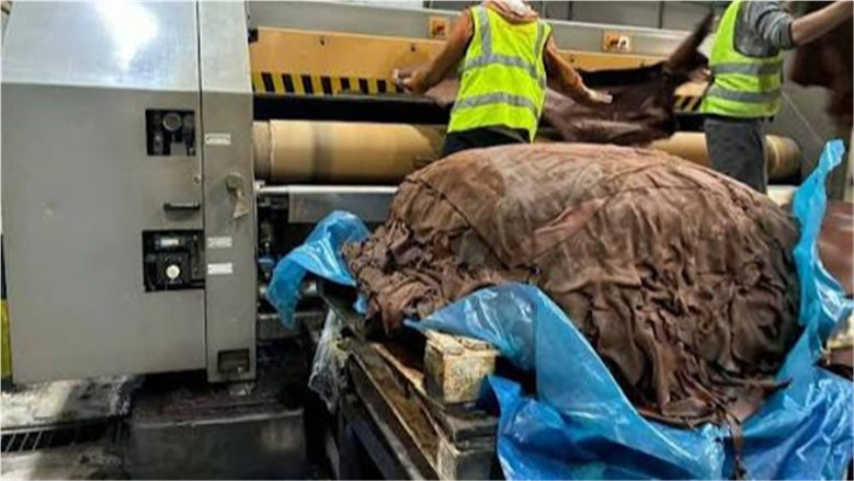 "الزراعة": إنتاج أكثر من 3800 طن من منتجات تدوير المخلفات الحيوانية بالمجازر المعتمدة خلال سبتمبر